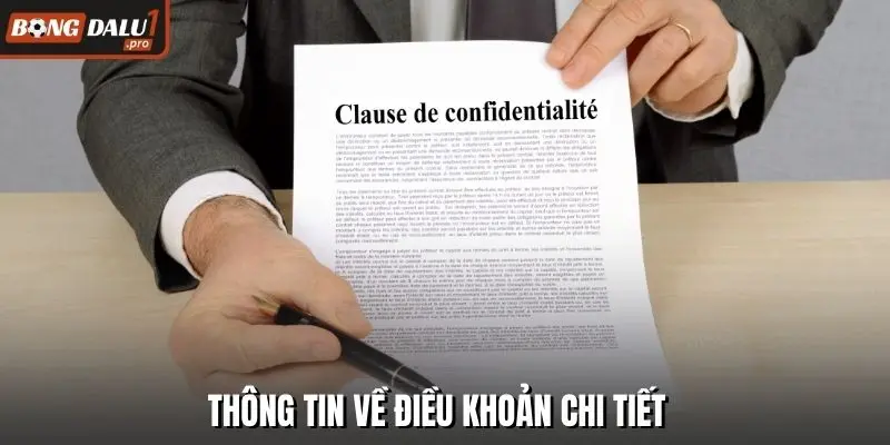 Thông tin về điều khoản chi tiết