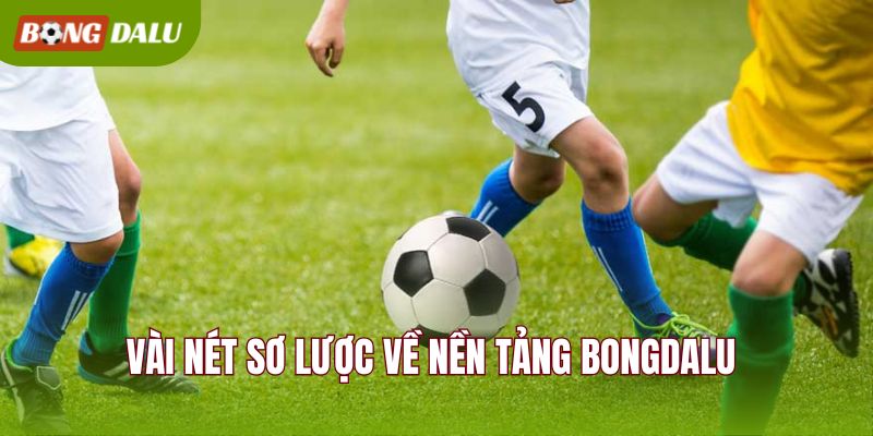 Vài nét sơ lược về nền tảng BONGDALU